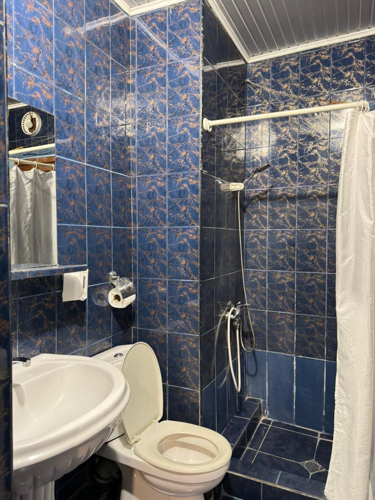 Benene'S Apartments Тбилиси Номер фото